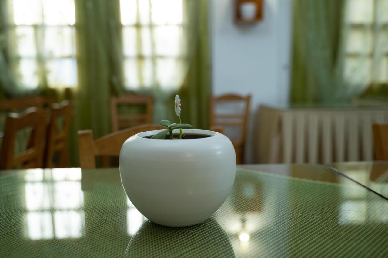 Dimitris Villa Hotel Матала Екстер'єр фото
